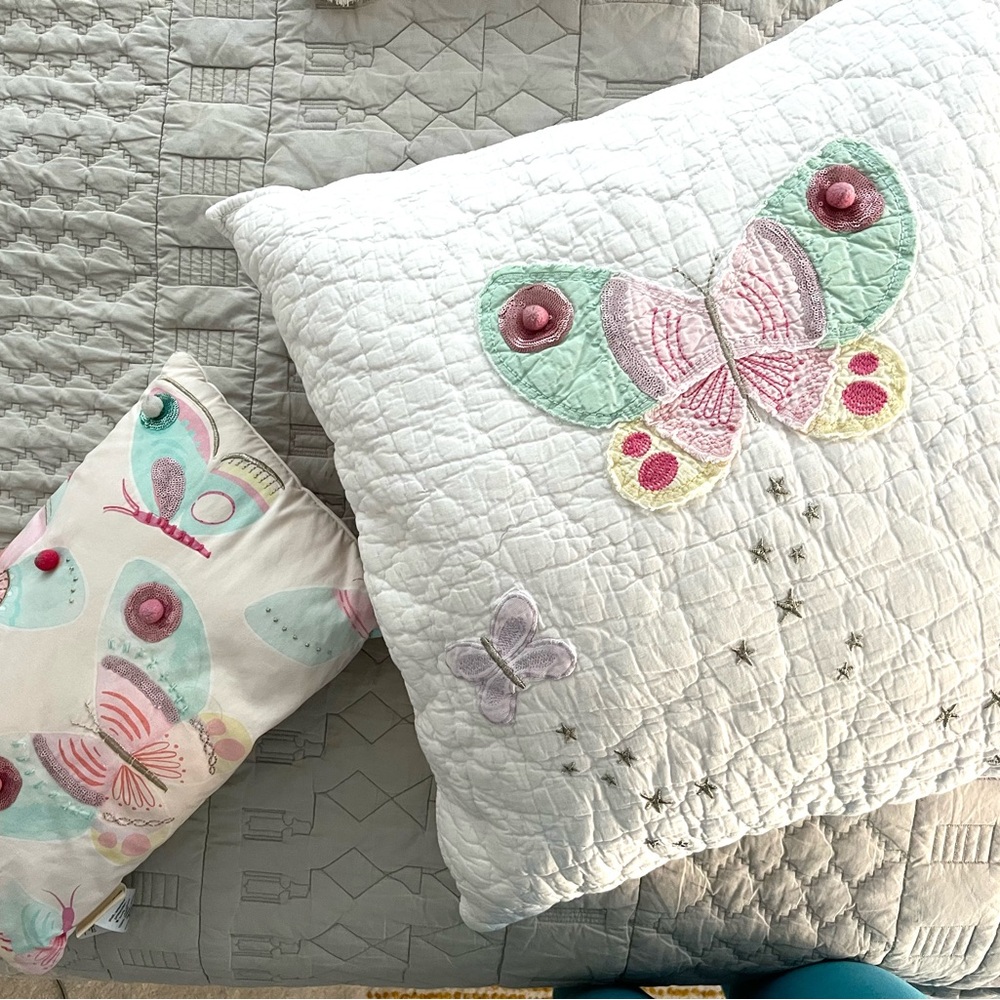 Pottery Barn Kids Gigi Butterfly Pillow & Sheet Set (twin)